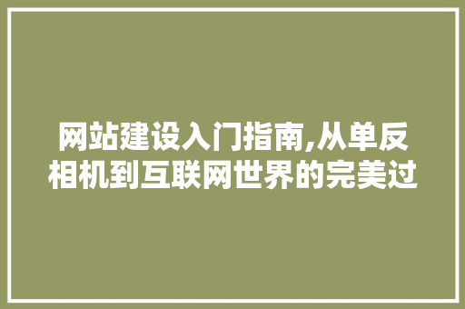 网站建设入门指南,从单反相机到互联网世界的完美过渡