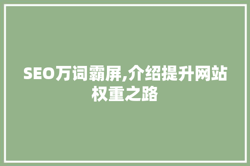 SEO万词霸屏,介绍提升网站权重之路