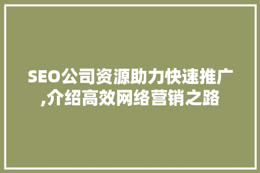 SEO公司资源助力快速推广,介绍高效网络营销之路  第1张
