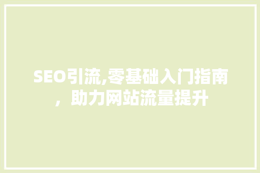 SEO引流,零基础入门指南，助力网站流量提升