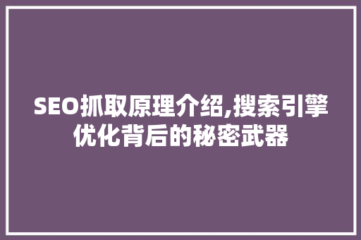SEO抓取原理介绍,搜索引擎优化背后的秘密武器
