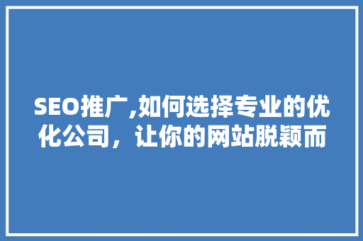 SEO推广,如何选择专业的优化公司，让你的网站脱颖而出