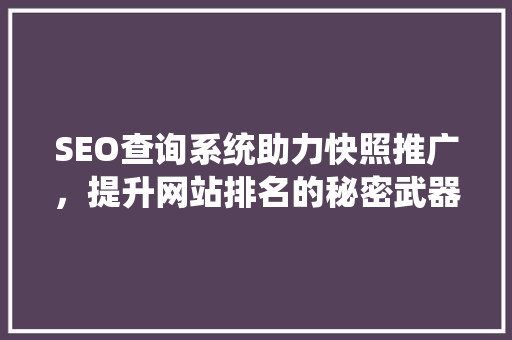 SEO查询系统助力快照推广，提升网站排名的秘密武器