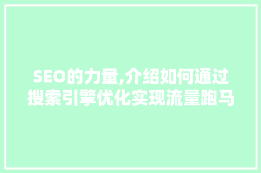 SEO的力量,介绍如何通过搜索引擎优化实现流量跑马圈地