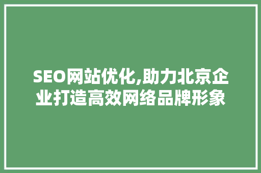 SEO网站优化,助力北京企业打造高效网络品牌形象