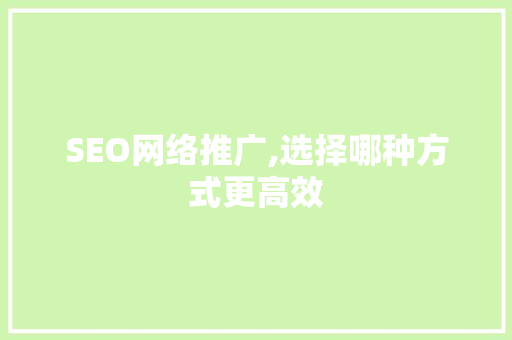 SEO网络推广,选择哪种方式更高效