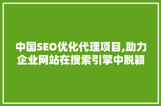 中国SEO优化代理项目,助力企业网站在搜索引擎中脱颖而出