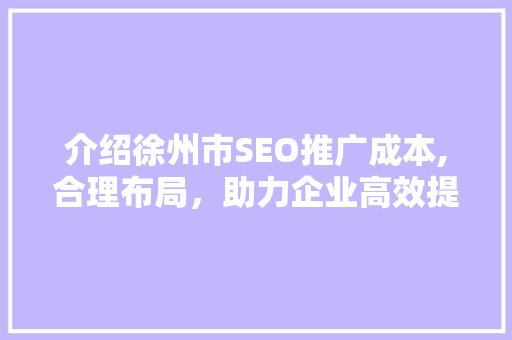 介绍徐州市SEO推广成本,合理布局，助力企业高效提升在线曝光度