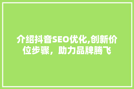介绍抖音SEO优化,创新价位步骤，助力品牌腾飞