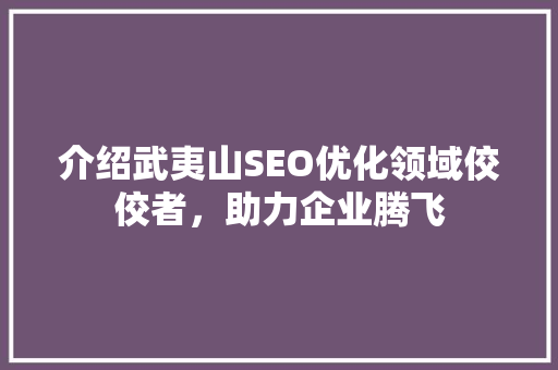 介绍武夷山SEO优化领域佼佼者，助力企业腾飞  第1张