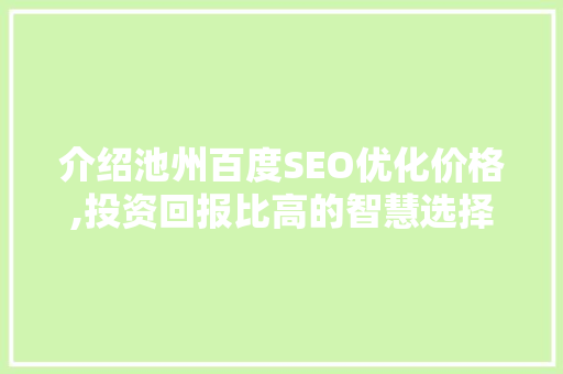 介绍池州百度SEO优化价格,投资回报比高的智慧选择