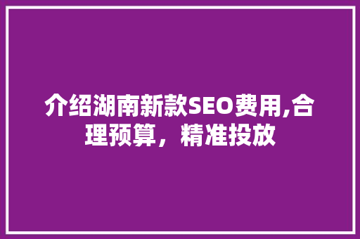 介绍湖南新款SEO费用,合理预算，精准投放
