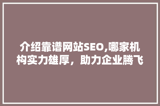 介绍靠谱网站SEO,哪家机构实力雄厚，助力企业腾飞
