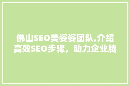 佛山SEO美姿姿团队,介绍高效SEO步骤，助力企业腾飞