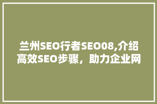兰州SEO行者SEO08,介绍高效SEO步骤，助力企业网站优化