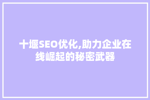 十堰SEO优化,助力企业在线崛起的秘密武器