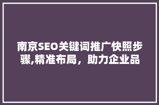 南京SEO关键词推广快照步骤,精准布局，助力企业品牌腾飞