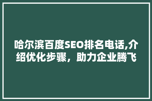 哈尔滨百度SEO排名电话,介绍优化步骤，助力企业腾飞