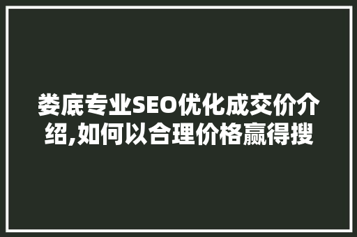 娄底专业SEO优化成交价介绍,如何以合理价格赢得搜索引擎青睐
