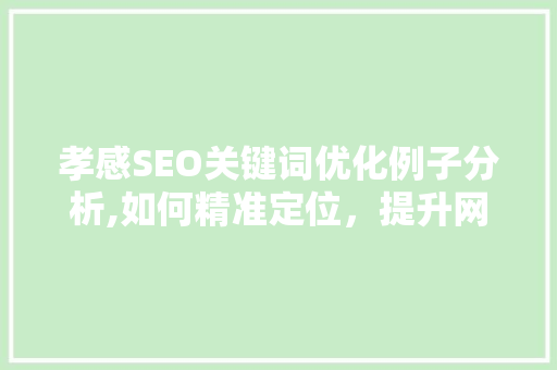 孝感SEO关键词优化例子分析,如何精准定位，提升网站流量