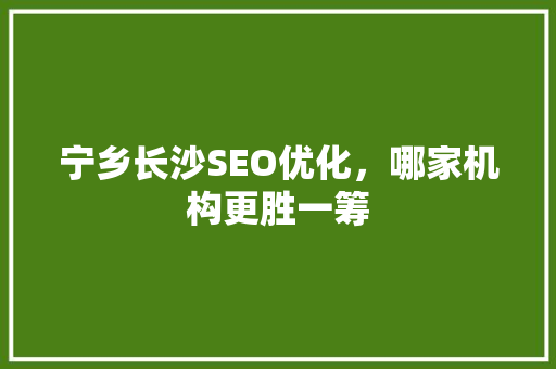 宁乡长沙SEO优化，哪家机构更胜一筹