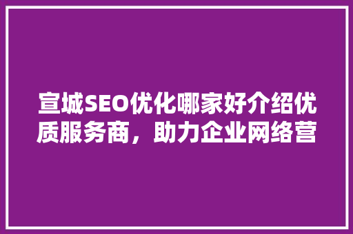 宣城SEO优化哪家好介绍优质服务商，助力企业网络营销