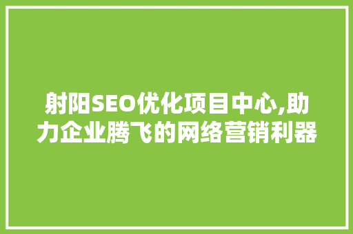 射阳SEO优化项目中心,助力企业腾飞的网络营销利器