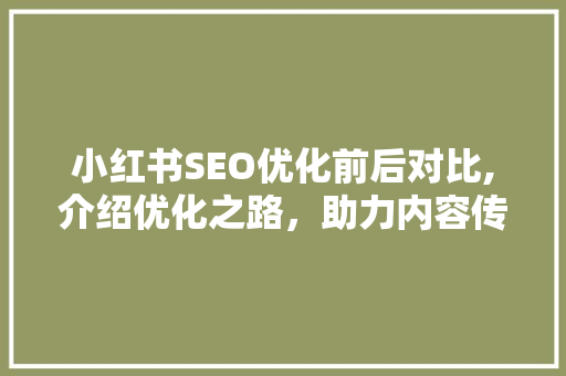 小红书SEO优化前后对比,介绍优化之路，助力内容传播