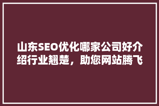 山东SEO优化哪家公司好介绍行业翘楚，助您网站腾飞