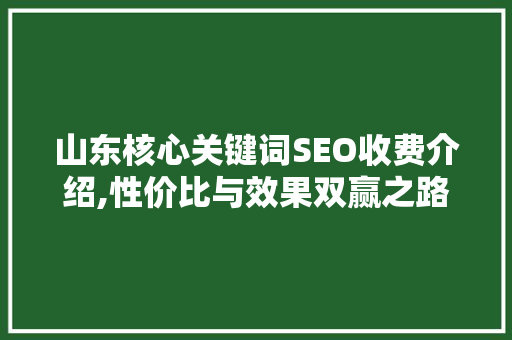 山东核心关键词SEO收费介绍,性价比与效果双赢之路