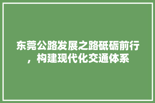 东莞公路发展之路砥砺前行，构建现代化交通体系