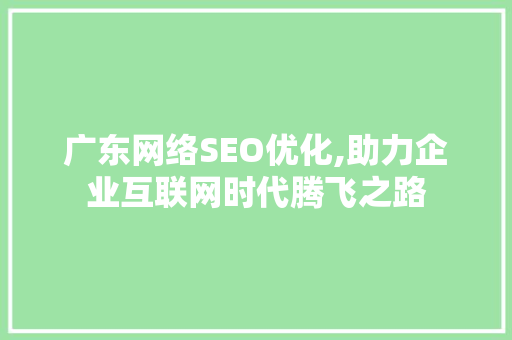 广东网络SEO优化,助力企业互联网时代腾飞之路