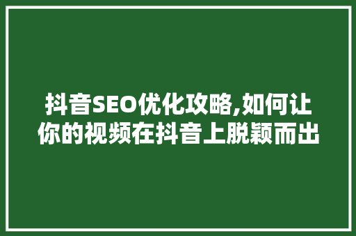 抖音SEO优化攻略,如何让你的视频在抖音上脱颖而出