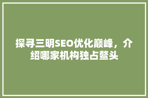 探寻三明SEO优化巅峰，介绍哪家机构独占鳌头