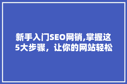新手入门SEO网销,掌握这5大步骤，让你的网站轻松脱颖而出！