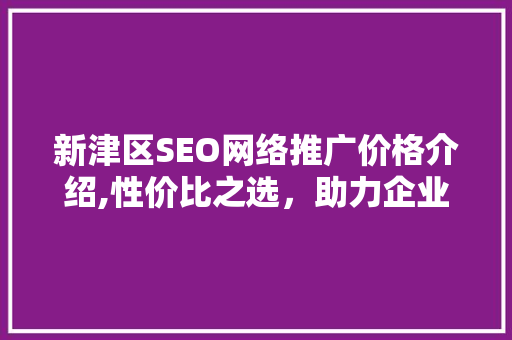 新津区SEO网络推广价格介绍,性价比之选，助力企业腾飞