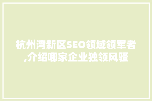 杭州湾新区SEO领域领军者,介绍哪家企业独领风骚