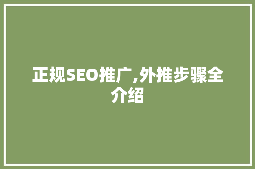 正规SEO推广,外推步骤全介绍