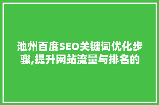 池州百度SEO关键词优化步骤,提升网站流量与排名的关键之路