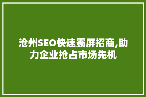沧州SEO快速霸屏招商,助力企业抢占市场先机
