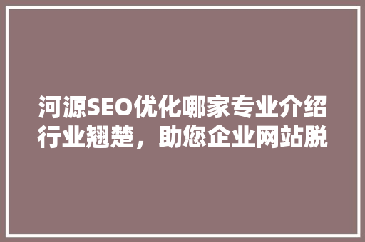 河源SEO优化哪家专业介绍行业翘楚，助您企业网站脱颖而出