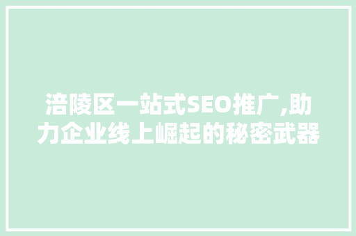 涪陵区一站式SEO推广,助力企业线上崛起的秘密武器