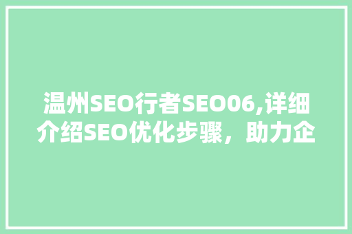 温州SEO行者SEO06,详细介绍SEO优化步骤，助力企业互联网营销