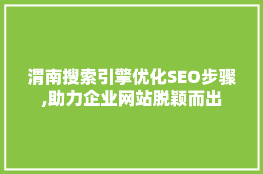 渭南搜索引擎优化SEO步骤,助力企业网站脱颖而出
