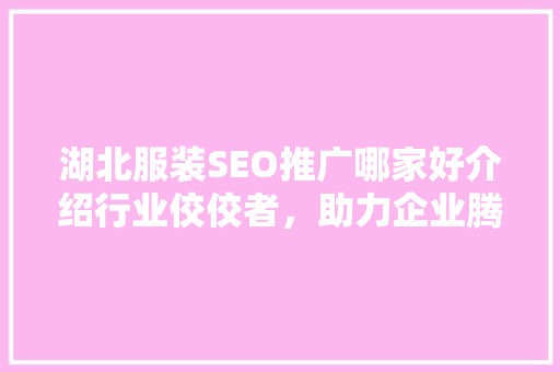 湖北服装SEO推广哪家好介绍行业佼佼者，助力企业腾飞