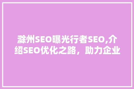 滁州SEO曝光行者SEO,介绍SEO优化之路，助力企业腾飞