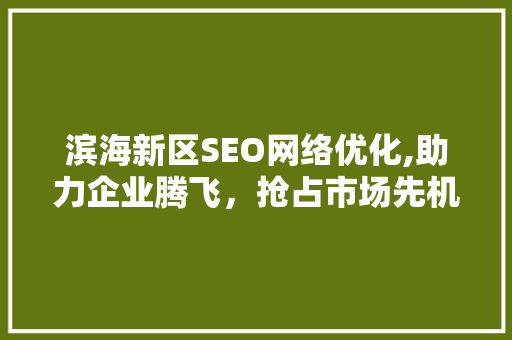 滨海新区SEO网络优化,助力企业腾飞，抢占市场先机