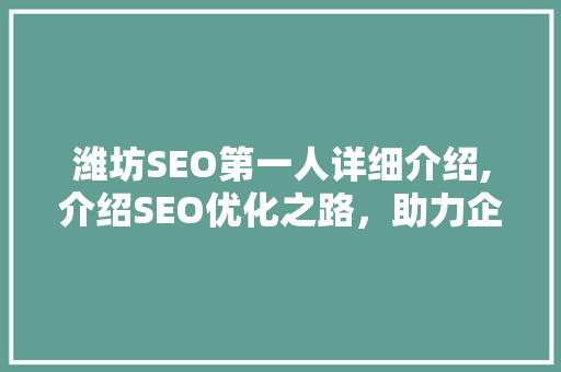 潍坊SEO第一人详细介绍,介绍SEO优化之路，助力企业腾飞
