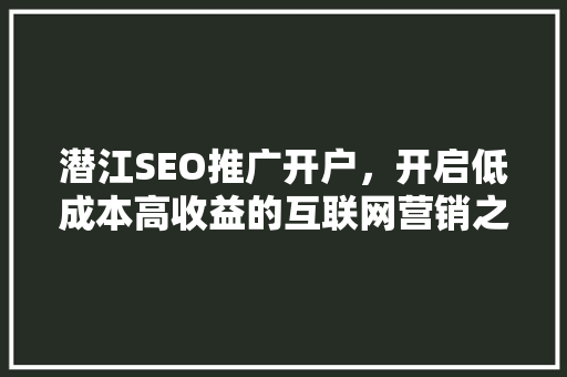 潜江SEO推广开户，开启低成本高收益的互联网营销之路