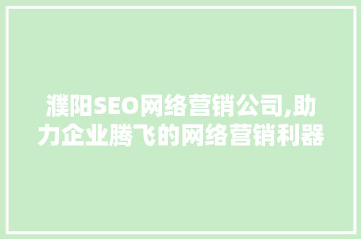 濮阳SEO网络营销公司,助力企业腾飞的网络营销利器